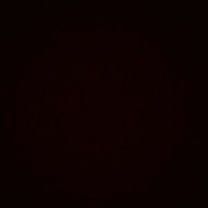 Meet your Posher, Daisy